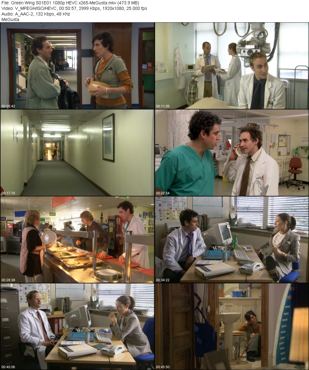 325694703_green-wing-s01e01-1080p-hevc-x265-megusta.jpg